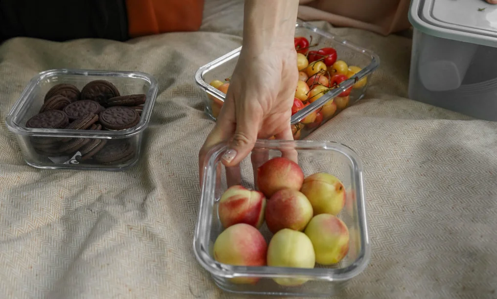 picnic beach blanket